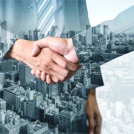 International Consulting